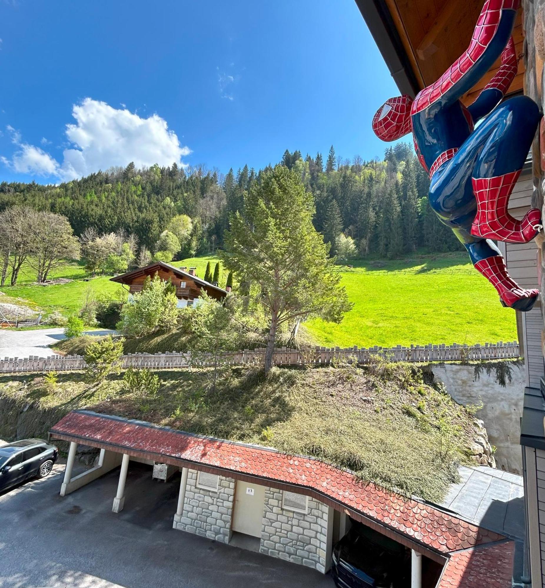 Weitenmoos Panorama Apartments ザンクト・ヨーハン・イム・ポンガウ 部屋 写真